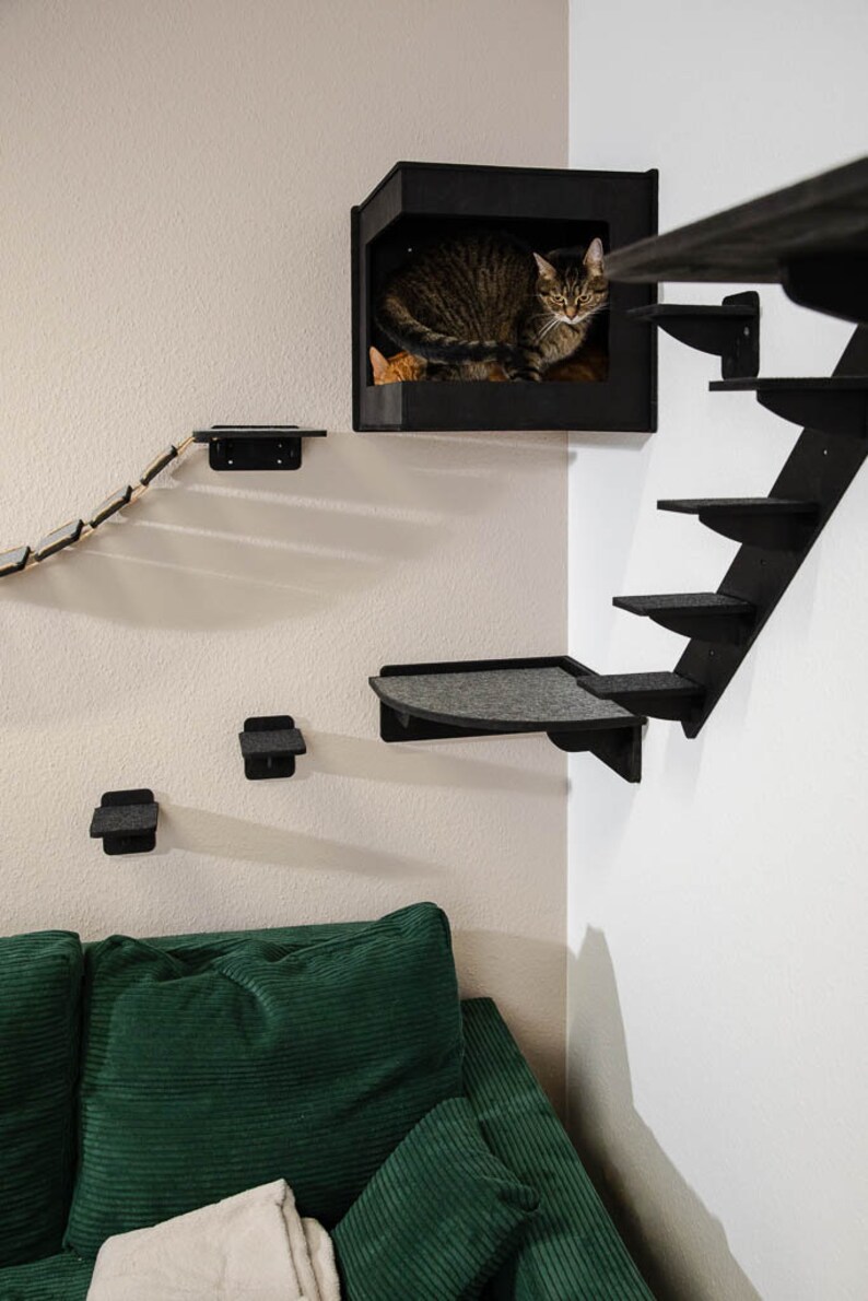 Catwalk various wall elements for cats. The wall-mounted playground for cats. Easy to assemble great fun for cats image 3