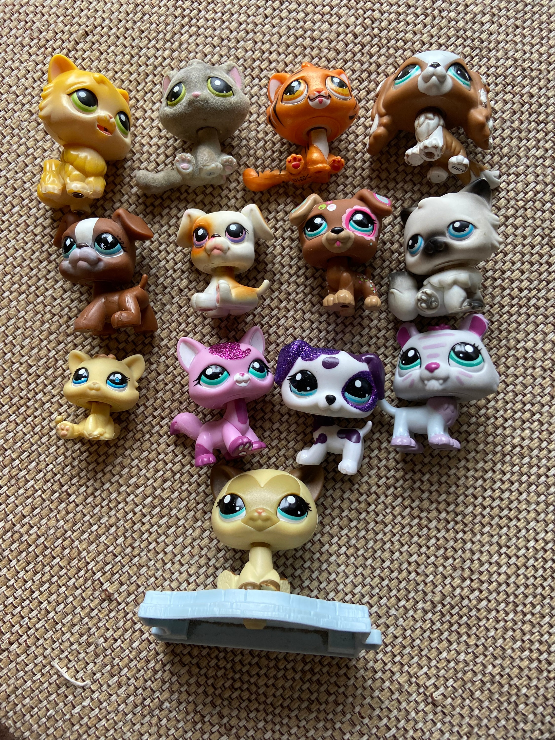 Lps Cats Etsy Australia
