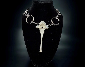 Vertebrae Bone Choker Necklace