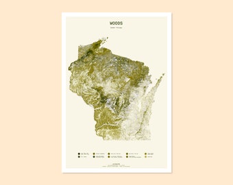 Wisconsin / Woods: Summer Foliage / map art print