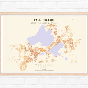 Madison, WI / Follaje de otoño / Impresión artística de mapas