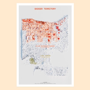 Madison WI / Badger Territory / map art print