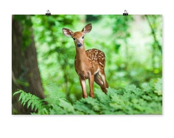 Nature unframed photo Animal lover Business Cabin Camp decor Wall art Domestic common animals Deer wall hanging Poster