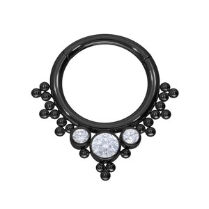 May include: Black septum ring with a cluster of small black beads and three clear, round gemstones. The ring is circular with a hinged closure. The brand name "ARGON JEWELS" is printed at the bottom.