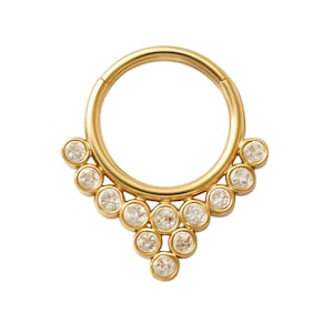 Paisley 14K Solid Gold Septum Clicker, Lab Diamond Cluster Earrings, 16G Nose Hoop Piercing, Body Piercing, Daith Septum For Her