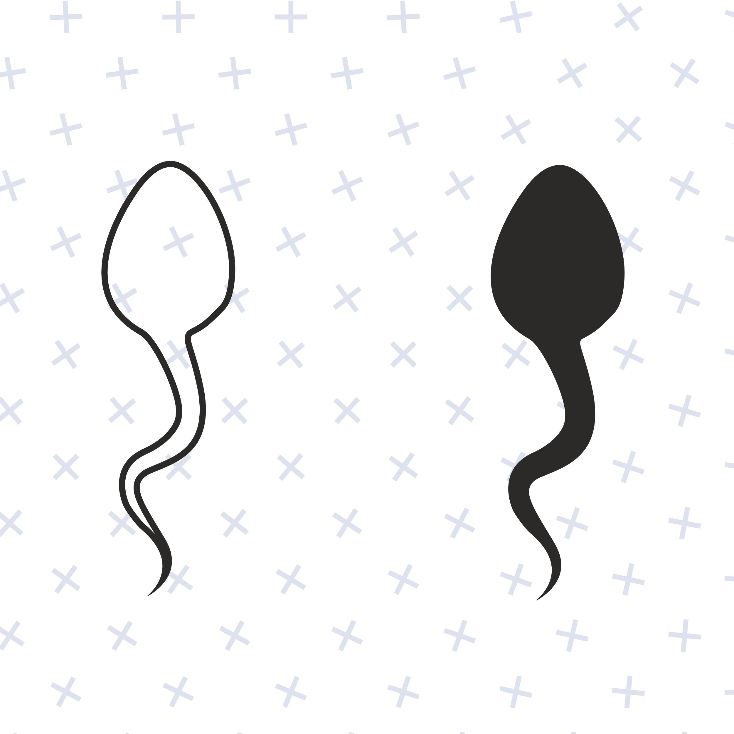Sperm Silhouette SVG / Sperm Silhouette Outlines / Sperm SVG / Sperm ...