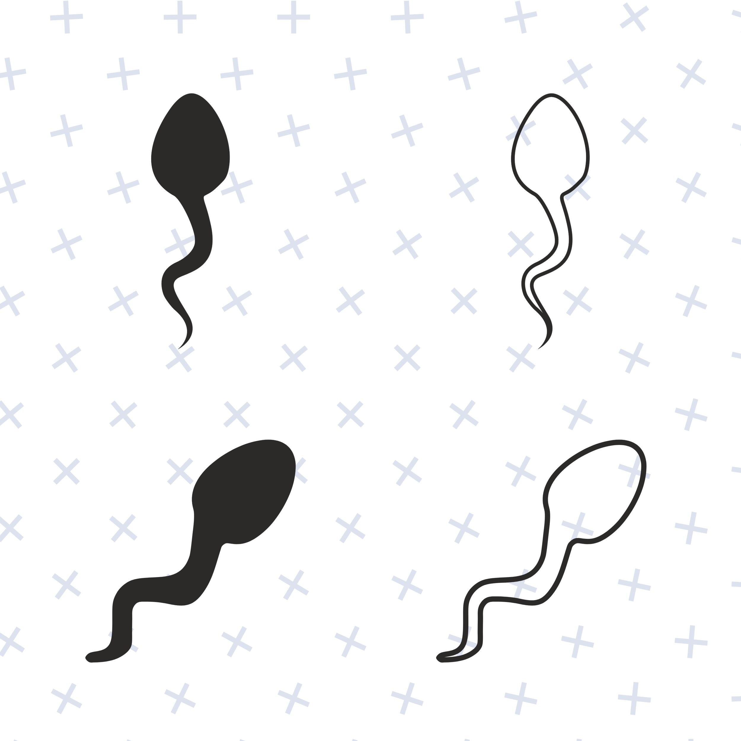 Sperm Silhouette SVG / Sperm Silhouette Outlines / Sperm SVG / Sperm ...