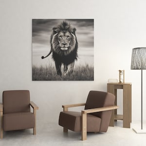 May include: A black and white photograph of a lion walking towards the camera in a grassy field. The lion has a thick mane and is looking directly at the viewer. The photo is framed and hanging on a white wall.