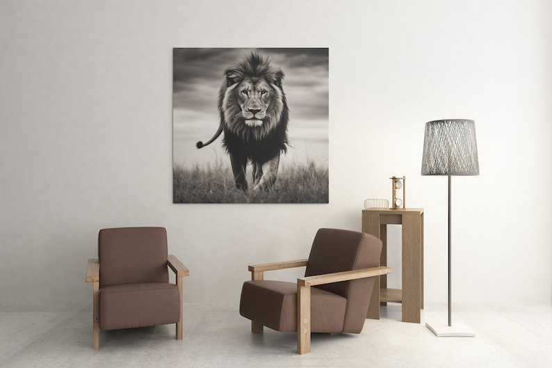 May include: A black and white photograph of a lion walking towards the camera in a grassy field. The lion has a thick mane and is looking directly at the viewer. The photo is framed and hanging on a white wall.