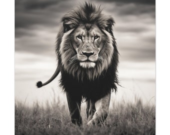 Lion Picture - captivating black and white photo of a lion on canvas