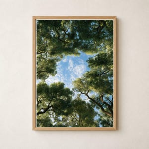 Green Tree Canopy Photograph, Square Upward View Nature Printable Wall Art