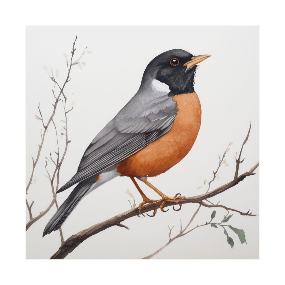 Watercolor Robin Painting Bird Wall Art Spring Bird Decor Robin watercolor-robin-painting-bird-wall-art-spring-bird-decor-robin