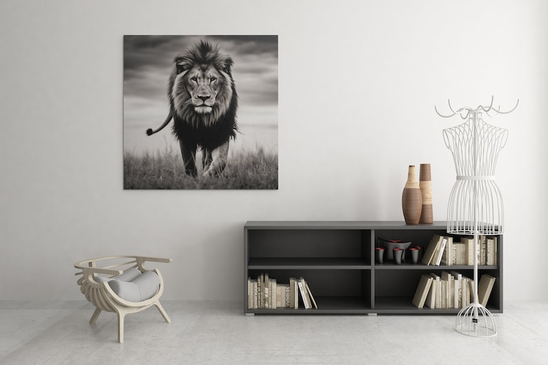 May include: A black and white photograph of a lion walking towards the camera in a grassy field. The lion has a thick mane and is looking directly at the viewer.