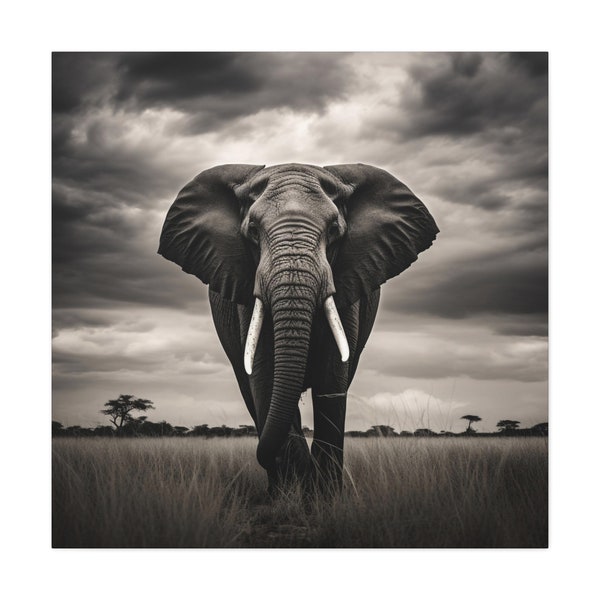 Elephant Picture - Beautiful black and white photo of an African elephant, majestic elephant photo