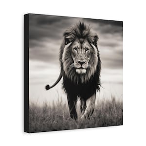 Lion Picture - captivating black and white photo of a lion on canvas image 7