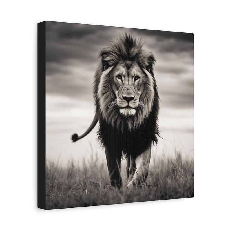 Lion Picture - captivating black and white photo of a lion on canvas image 7