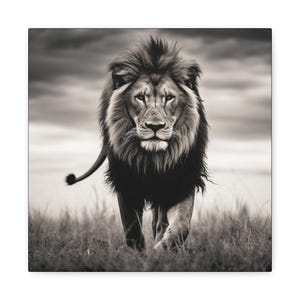 Lion Picture - captivating black and white photo of a lion on canvas image 6