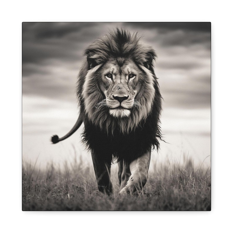 Lion Picture - captivating black and white photo of a lion on canvas image 6