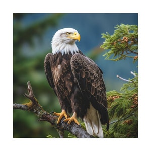 Eagle Canvas - imagen del águila calva posada sobre la copa de un árbol, arte de la pared del águila