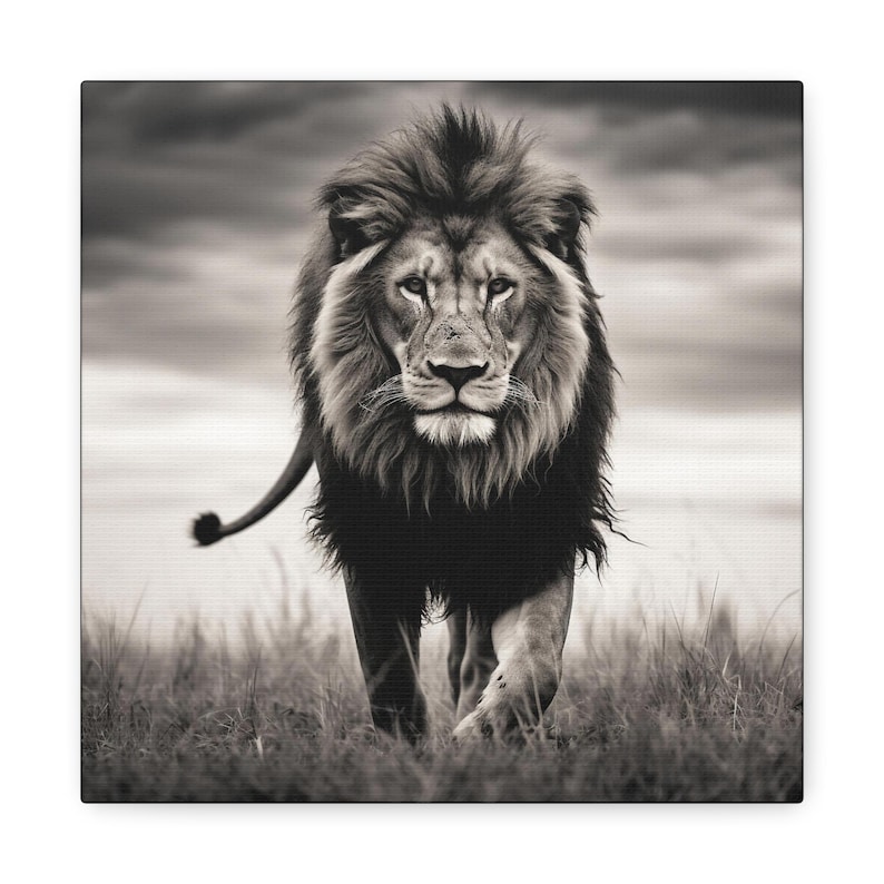 Lion Picture - captivating black and white photo of a lion on canvas image 1