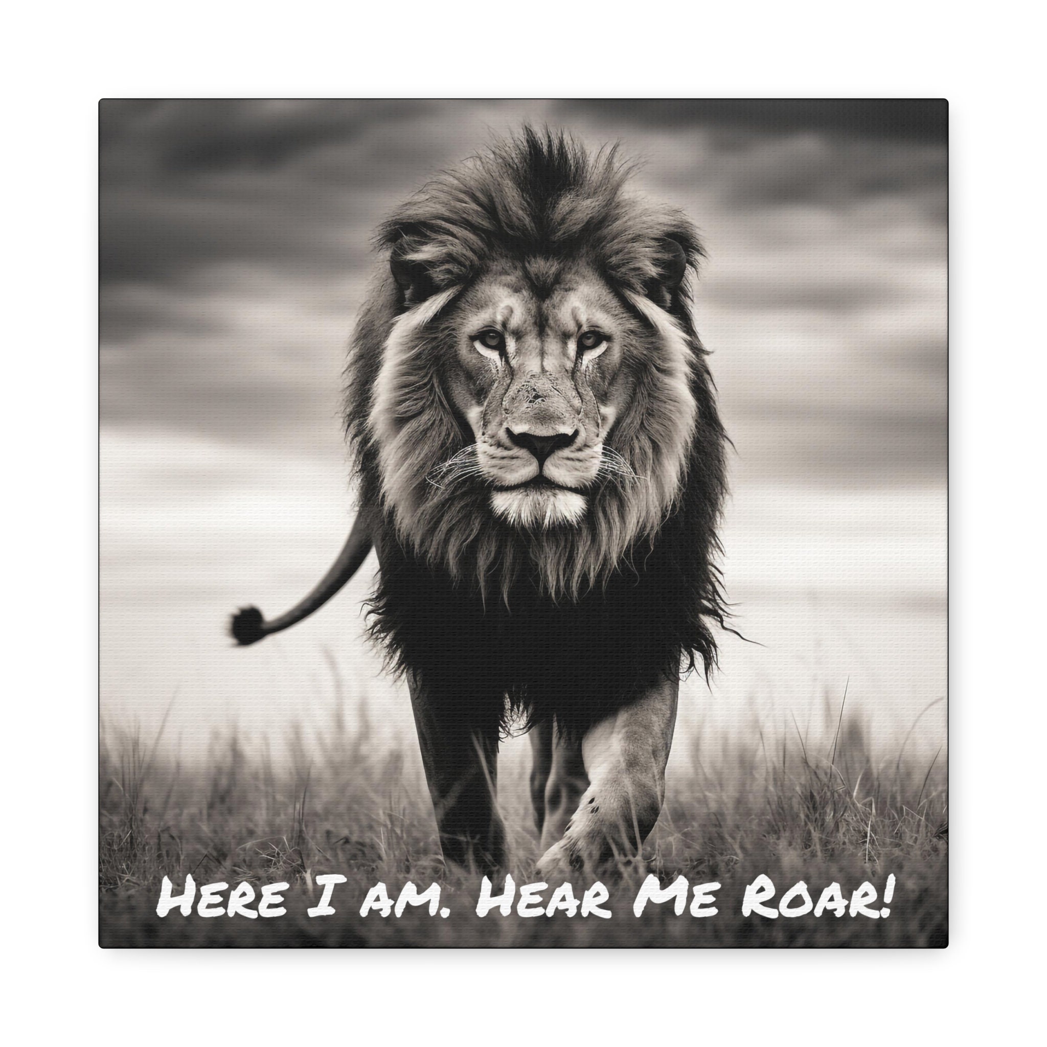 Lion Picture - Here I Am. Hear Me Roar! Captivating Black and