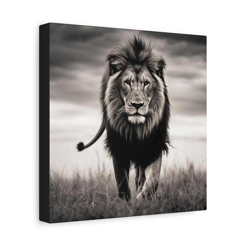 Lion Picture - captivating black and white photo of a lion on canvas image 2