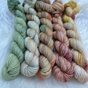 Desert Daze  Mini Skein Bundle |Mini Skeins |20 gram yarn |Hand Dyed |semi tonal | speckled yarn | Merino Wool |Nylon