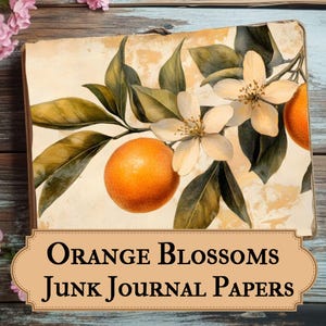 Orangenblüten Papiere - Vintage Orangenblüten Drucke - Sommer Journals - Orangen Frucht Seiten, Junk Journal & Scrapbook - Obst Illustrationen