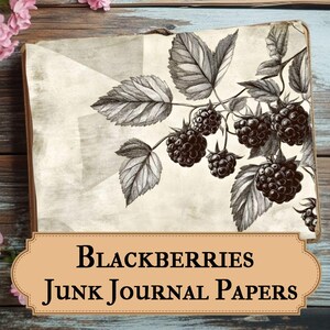 Brombeere Bramble Vintage druckbare Papiere - Vintage Obst Drucke für Junk Journals & Crafts, Beere Junk Journal und Scrapbooking, Ephemera