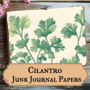 Papéis de diário de coentro, kit de scrapbook digital de ervas vintage, itens botânicos imprimíveis para diários "faça você mesmo" e artesanato de cozinha - Herbal