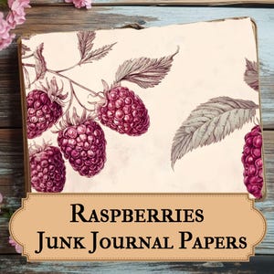 Himbeer Junk Journal Papiere, Vintage Beere Botanische Ephemera für Scrapbooking & Rustikale Fruit Journal Kits, Nature Crafting Prints