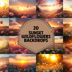 May include: 20 digital backdrops featuring a field of wildflowers with a sunset in the background. The backdrops are perfect for photographers and graphic designers.