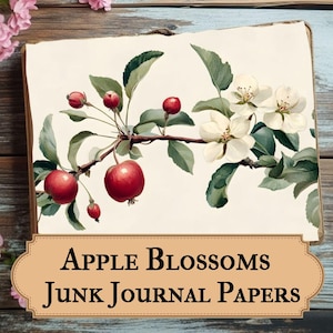 May include: A vintage illustration of apple blossoms and red apples on a branch. The image is titled "Apple Blossoms Junk Journal Papers".