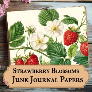 Erdbeerblüten Junk Journal Papier, Vintage Erdbeere Digital Kit, Sommer Obst Scrapbook Seiten, Botanische Ephemera Printable