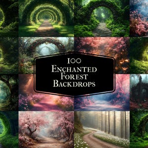 100 の魅惑的な森の背景、写真 - 魔法の森の物語の背景、魔法の森、おとぎ話と花の背景