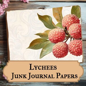 Lychees Junk Journal Kit, Digitales Papier Pack, Vintage Journal Ephemera Kit, Druckbare Scrapbooking-Papiere mit Botanischer Obst Art