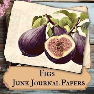 Feigenernte Papiere - Vintage Obst Drucke für Junk Journals & Crafts - Ephemera, Feigen Junk Journal und Scrapbooking Vintage Obst Papiere