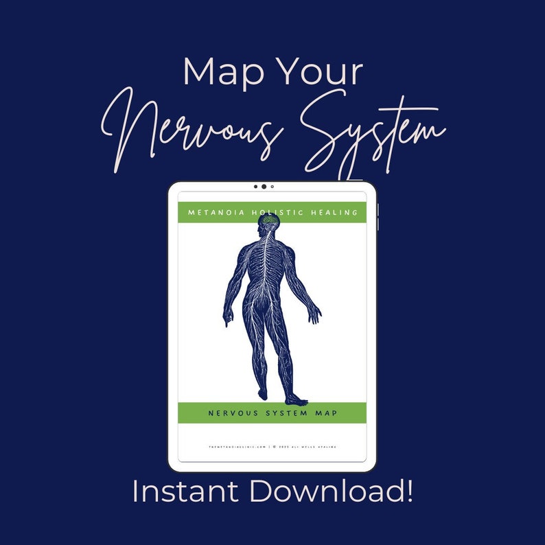 Nervous System Map Biology Diagrams
