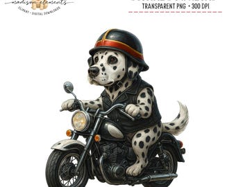 Dalmatische hond op motorfiets PNG, Dalmatische motorrijder kunst, grappige dierenprint, coole hond illustratie, clipart downloaden, huisdier portret ontwerp
