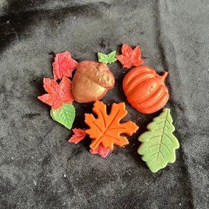 Autumn Melt Pot | Wax Melts |  Melts | Autumn Aesthetic |
