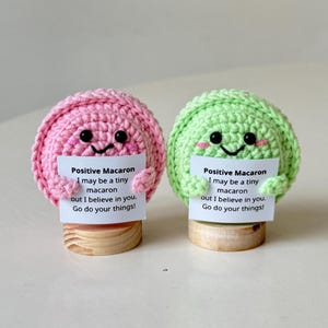 May include: Two crocheted macaron-shaped figures, one pink and one green, each with a smiling face and holding a sign. The signs read "Positive Macaron" and a motivational message. They sit on wooden bases.
