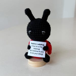 May include: A handmade black crochet ladybug figurine with a red back, holding a sign that reads "Positive Ladybug, I may be a tiny ladybug but I believe in you. Go do your thing!" The figurine is on a small wooden base.