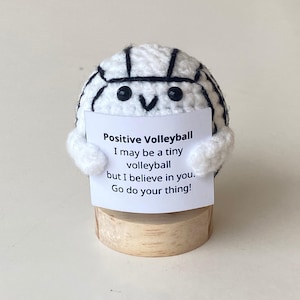 Vôlei positivo engraçado, brinquedo de vôlei de malha com cartão positivo, lã de bola fofa inspiradora, presente de animação para jogador de time de vôlei