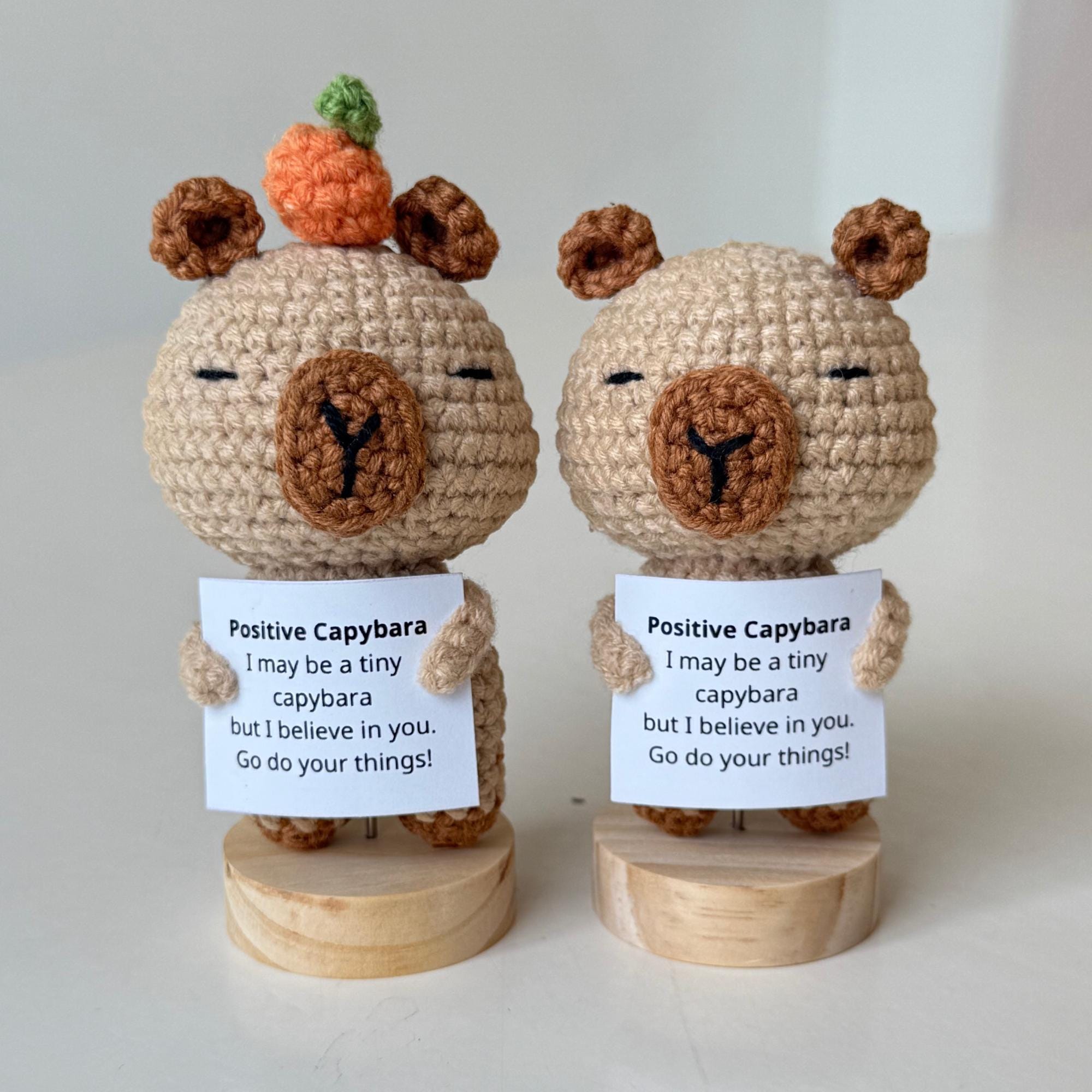 Positive Capybara - Peluche De Soutien émotionnel