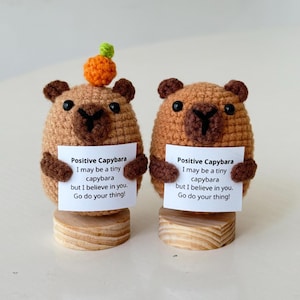 May include: Two crocheted capybara figurines with brown bodies, dark brown ears, and black eyes. Each holds a sign that reads "Positive Capybara." One has an orange and green topper. They sit on wooden bases.