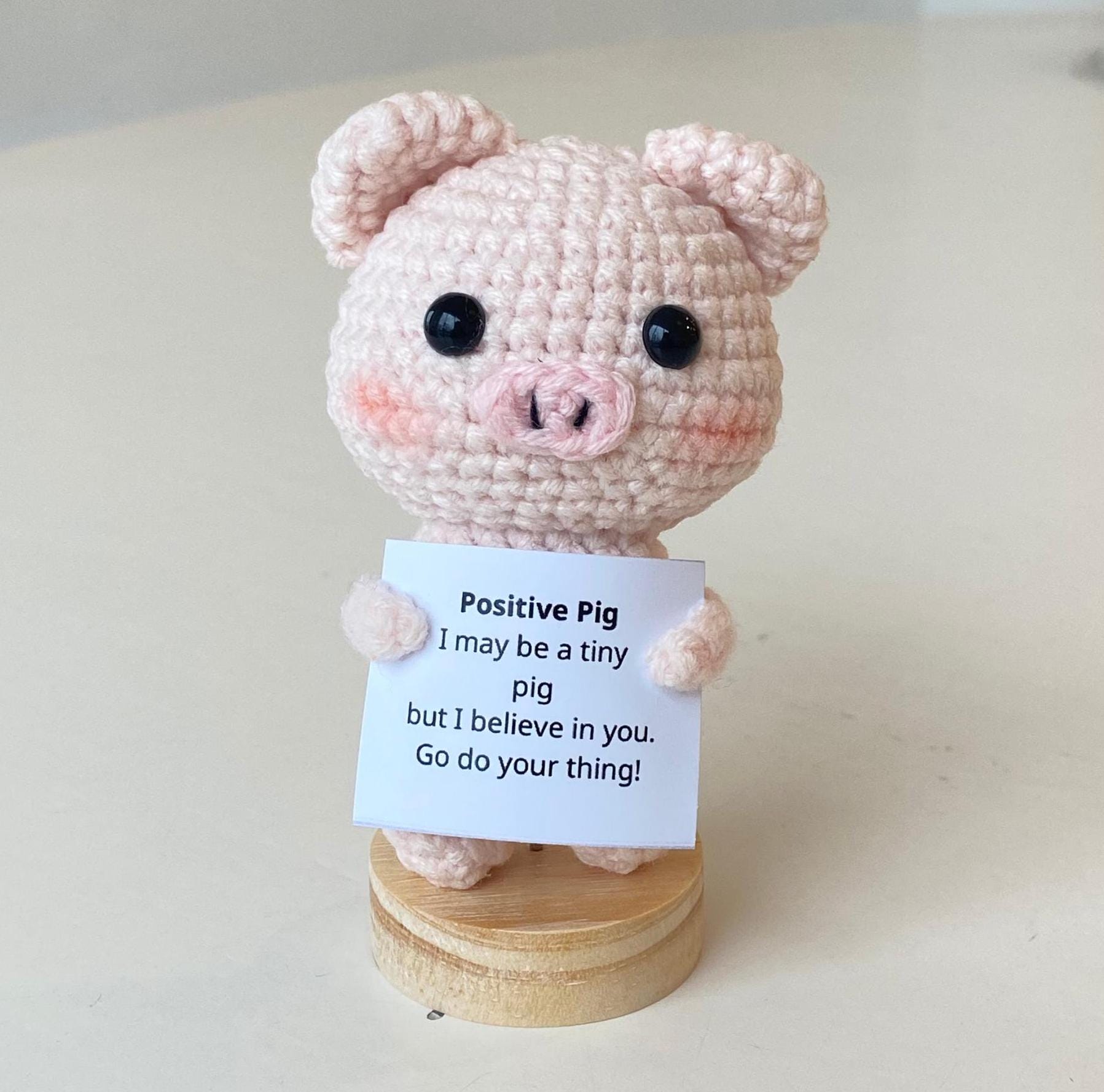 Cerdo De Ganchillo De La Suerte Con Moneda | Regalo De Buena Suerte, Positividad Y Riqueza