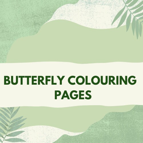 Printable Butterfly Colouring Pages X7 - Etsy