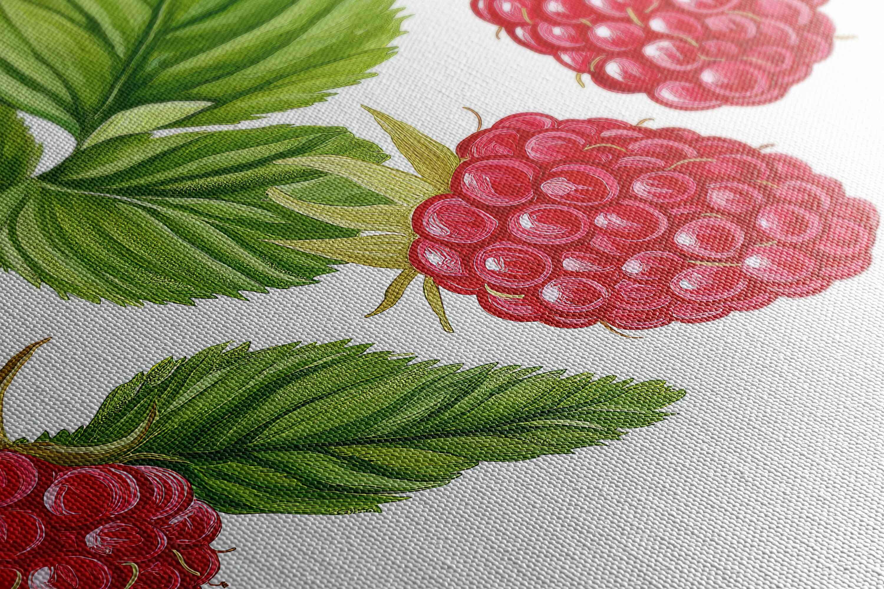 Baby Raspberry Print Bright Raspberries and Flowers Wall Art Canvas Print, Fruit Painting ...