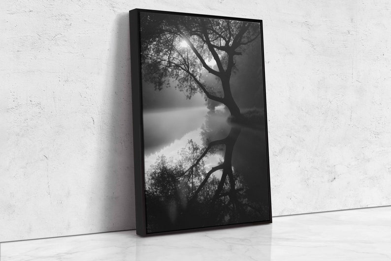 Reflection Tree Hanging Tree Overhanging Lake Edge With Sun Shining Through Branches Wall Art ...