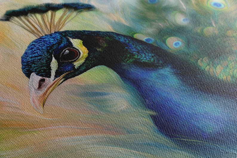 Vibrant Peacock Closeup Wall Art Canvas Print, Gift For Animal Lover, Nature Photo, Impressionism, Beautiful Bird, Ready To Hang image 5